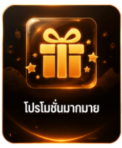 โปรโมชั่นมากมาย